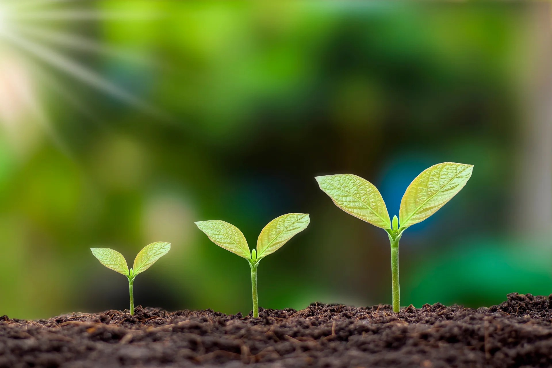 Core Values Background